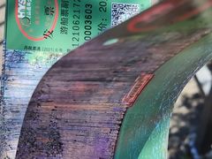 -黄椅山火山森林公园