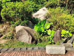 -火炉山森林公园