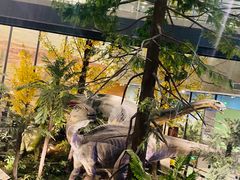 -湖南省地质博物馆