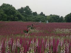 -保利石象湖景区