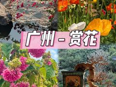 -云溪植物园