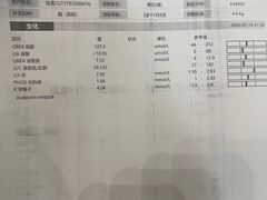 -半岛宠物医院24小时(科华中路店)
