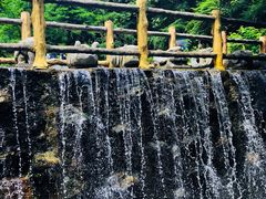 -王顺山国家森林公园