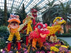 -新加坡植物园