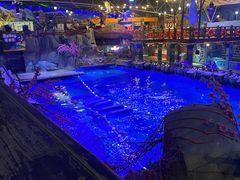 -海合安青岛极地海洋公园