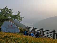 -铁山坪森林公园