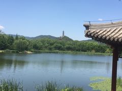 -北坞公园