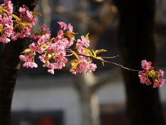 -静安雕塑公园