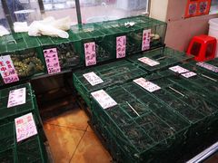 -荔城生鲜盛宴(番禺旗舰店)