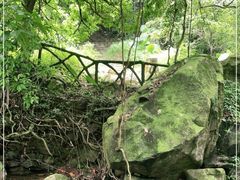 -梧桐山风景名胜区