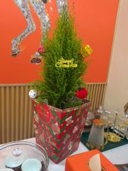 -美肤盾祛痘·问题肌头疗管理中心