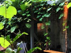 -时光花园(白鹭洲店)