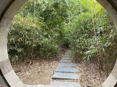 -八大山人梅湖景区