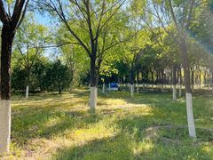 -永定河休闲森林公园