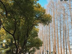 -上海财经大学(国定路校区)
