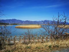 -野鸭湖国家湿地公园