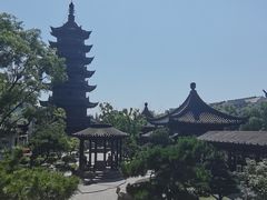 -月栖华明-云间草堂清茶馆(泗泾古镇店)