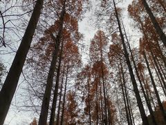 -北京植物园南门售票处