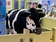 -红星前进面包牛奶公司(君太店)