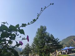 -南泥湾风景区