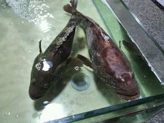 -明记海鲜美食老字号(明记总店)