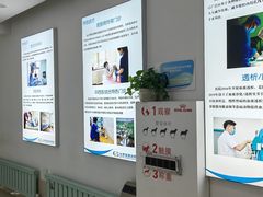-北京观赏动物医院·24小时大型综合·猫专科·异宠专科