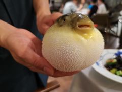 -肆月河豚·新淮扬(金融街店)
