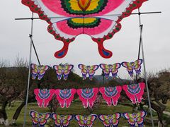 -白马涧龙池景区