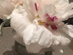 -PAUL LAFAYET 法式甜品(港汇广场店)