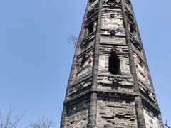 -上海佘山国家森林公园天马山园