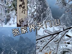 -张家界天门山国家森林公园