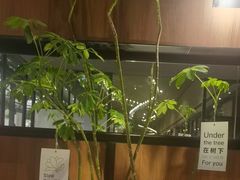 -西堤牛排(南京龙江店)