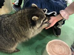 -藦茜花园宠物主题亲子互动体验馆(国顺东路店)