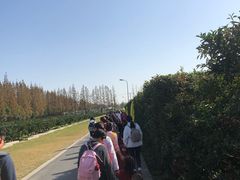 -前小桔亲子创意农场·草莓采摘·露营烧烤