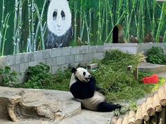 -南昌动物园