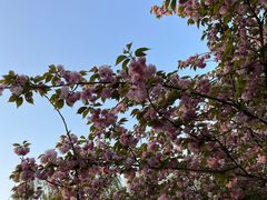 -幕燕滨江·长江观音景区