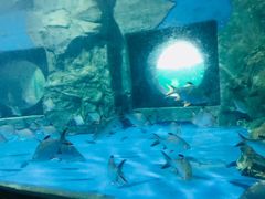-梦幻海洋王国(吾悦广场张家港店)