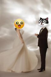 -CD视觉婚纱摄影