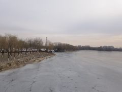 -大兴滨河森林公园