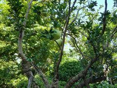 -红豆杉庄会议中心