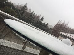 -上海虹桥迎宾馆