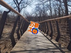 -白水寺森林公园