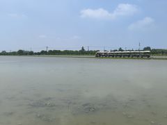 -嘉北郊野公园