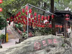 -巴倒烫陆派火锅山庄(南山总店)