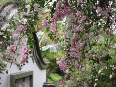 -深圳国际园林花卉博览园