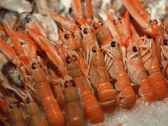 -松岛日本料理(汾江路店)