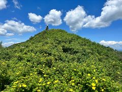-灵山
