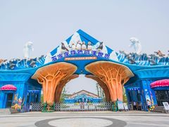 -石家庄极地海洋世界