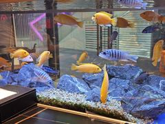 -黄鱼炙夜·烧烤·小龙虾(星荟广场店)