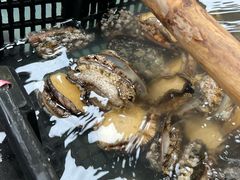-养牛邓·潮汕牛肉海鲜自助火锅(广州店)